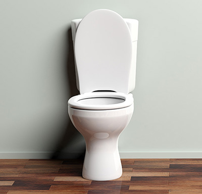 toilet